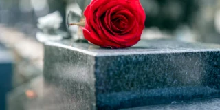 Остались вопросы?